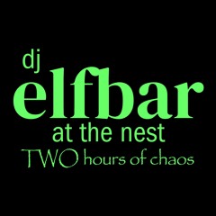 dj elfbar at the nest, TWO hours of chaos