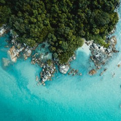 Promoting UNEP FI's Global Roundtable​