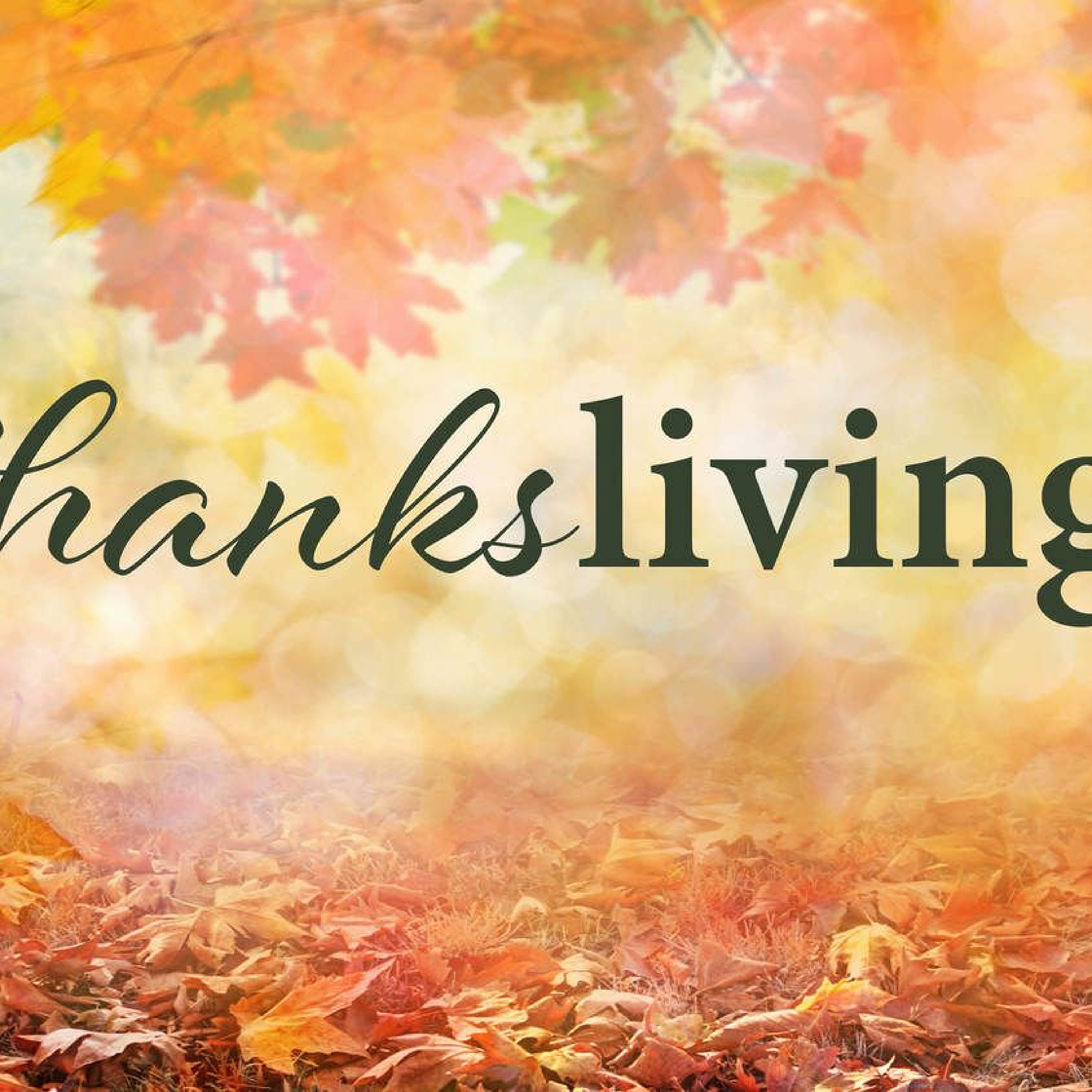 11-12-2023 - ThanksLiving - Praise The LORD, My Soul episode artwork