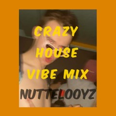 Crazy House vibe mix