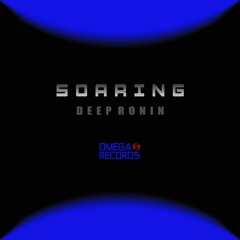 Deep Ronin - Soaring (Original Mix)