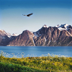 Petter Carlsen - Majestet (Live på amtmandens)