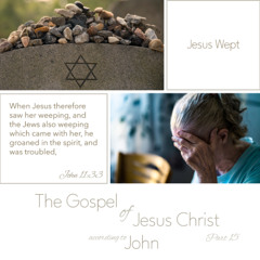 Voice Note for 20241214 - TheGospelofJesusChrist-Part15-John11-JesusWept