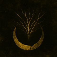 Reshimu Ora – Dust Before Light