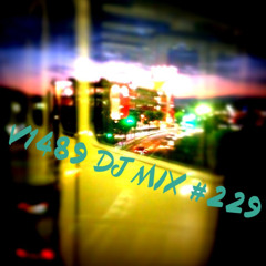 V1489 DJ MIX #229