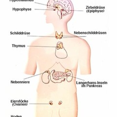 Drüsenmeditation für innere Heilkraft (Deutsch)