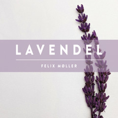 Lavendel