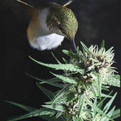 ℑ𝔗𝔖 𝔜𝔒𝔘ℜ𝔖