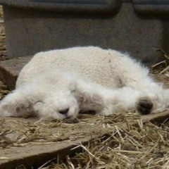 someone NEEDS to take fl away from me