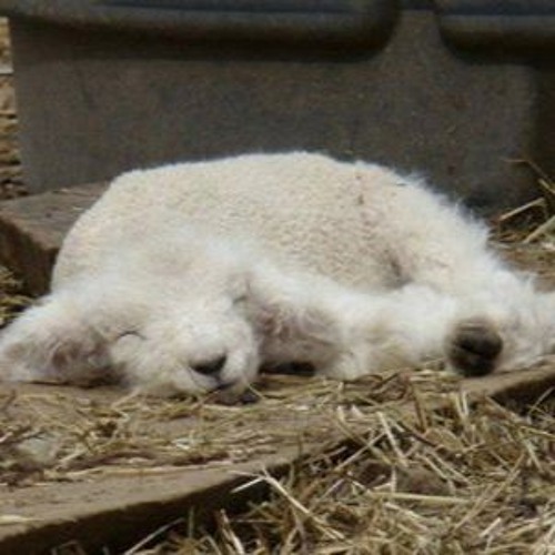 someone NEEDS to take fl away from me