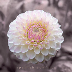 TOPIARY - SPANISH CONFLICT (FREE)