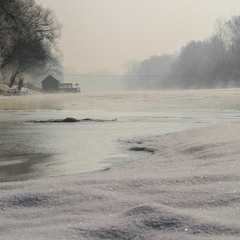 White as Casmir Pulaski Day