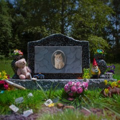 Deforesters - Paradise Mausoleum - 13 - Grave Robbers Union.wav