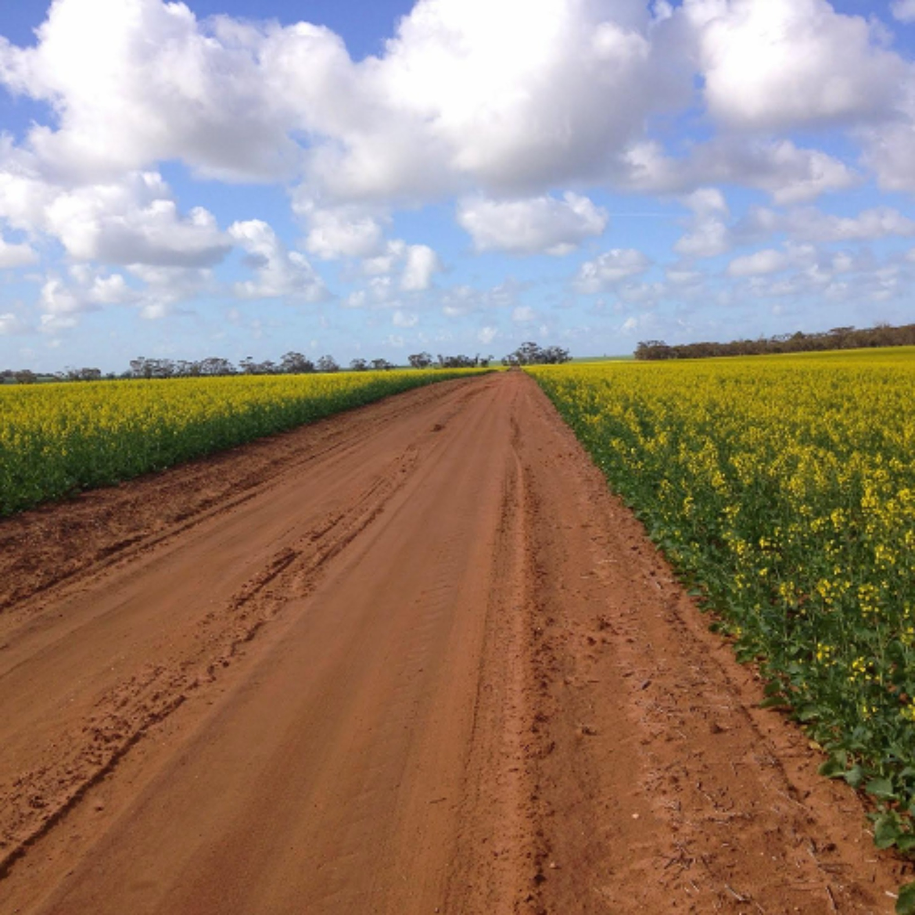 Agricultural Groups Urge Action from Re-Elected Liberal Minority Government episode artwork