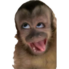 10 MIL