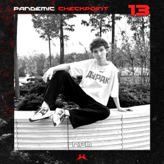Pamdemic Checkpoint #13 - Npd