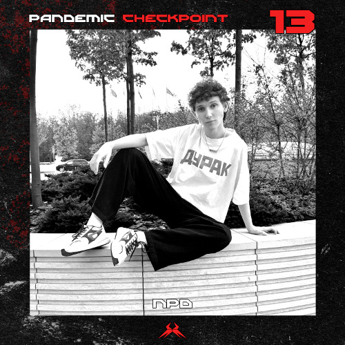 Pamdemic Checkpoint #13 - Npd