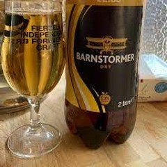 Barnstormer - 29:12:2023, 14.45