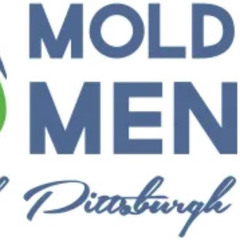 Is mold silently damaging your home and your health Mold Men of Pittsburgh is here to help