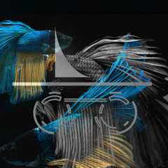 XXVI - Incognito_submerge_w. Lucas Darío