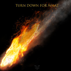 DJ SNAKE - TURN DOWN FOR WHAT (VENOMRIFF REMIX)