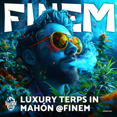 Luxury Terps in Mahón