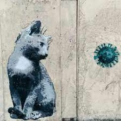 Risbokore - Siiwe23 [KoprodRecord]