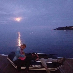 Le bruit des mouettes