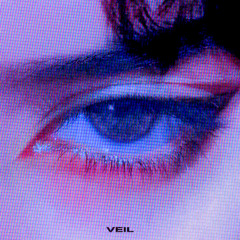 Kanpeki - veil (Slowed+Reverb)