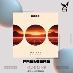 PREMIERE: Wailey - No Fire (Original Mix) [3000GRAD]