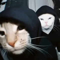 Me N My$elf