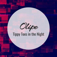 Tippy Toes in the Night