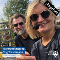 Brandtzæg og Torsteinson om Circle of security