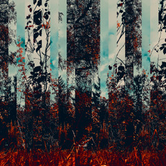 Paradroid Mix # 006 - ParadroidAutumnMix - 165min - 31/10/24