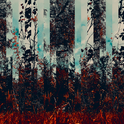 Paradroid Mix # 006 - ParadroidAutumnMix - 165min - 31/10/24