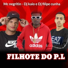 MC NEGRITIN - FILHOTE DO PL [ DJ FILIPE CUNHA & DJ KAIO DA V.O ]