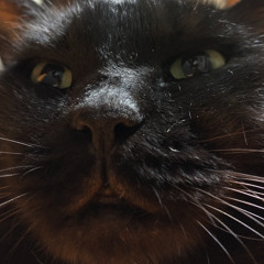 Westside Gunn,Rome Streetz-Big Al- Deek Remix-