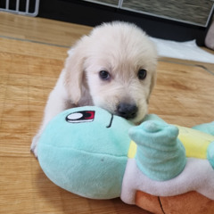 오직 근무중 피곤한 당신을 위하여 흥 죽어주는 믹셋( 헌팅포차 클럽 믹셋