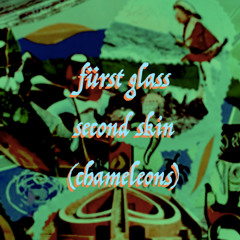fürst glass- second skin (chameleons)