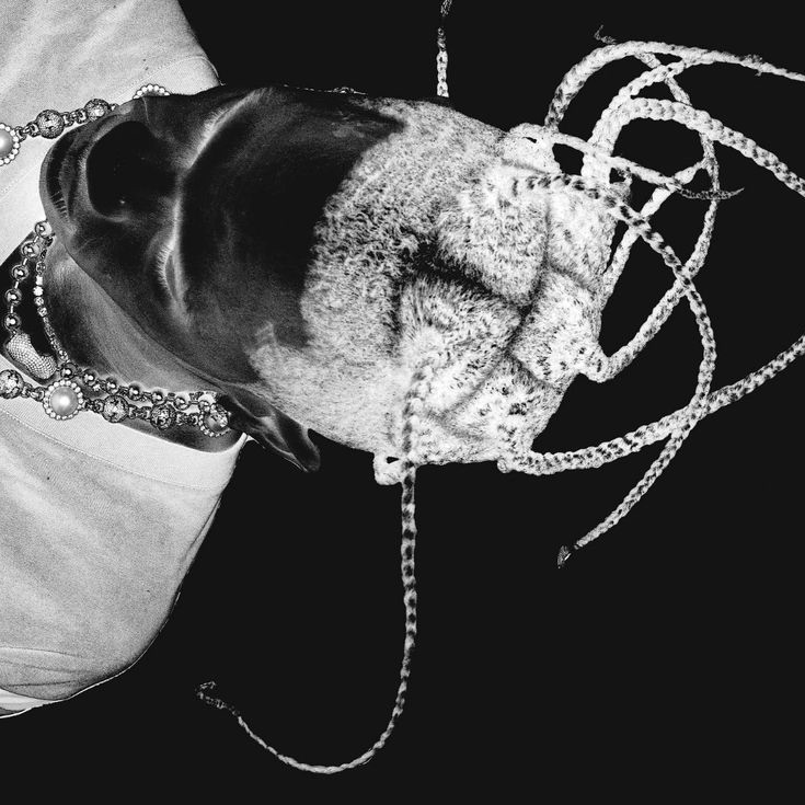 Travis Scott – Gold Blackberry (Utopia Leak)(Unreleased)