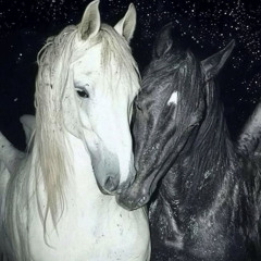 PennyPinchin [prod me]