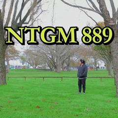 ntgm-90stheme
