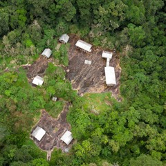 Gabon - Ivindo NP - Jungle Camp Atmosphere