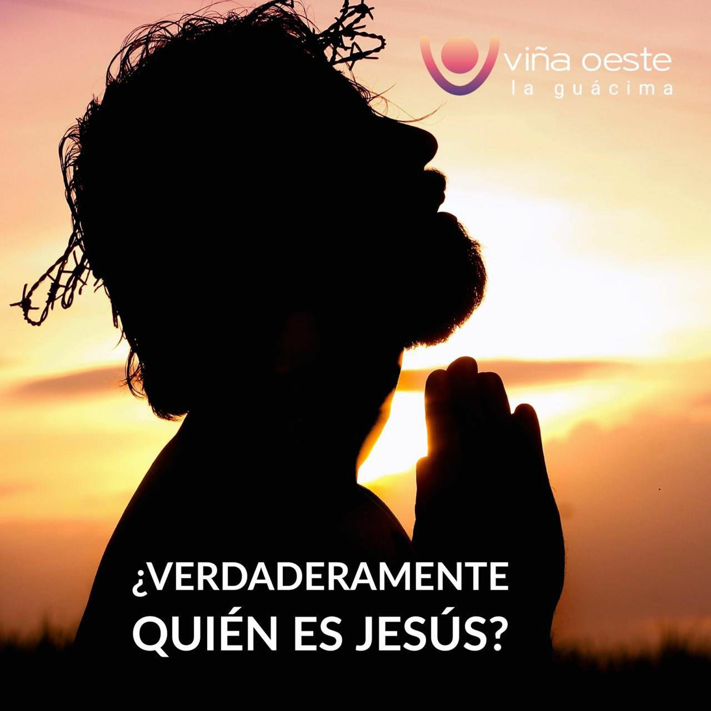 Viña Oeste La Guácima