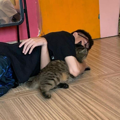 MCK - Tưởng Tượng ( Demo)