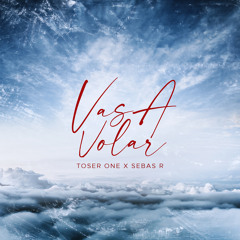 Vas A Volar