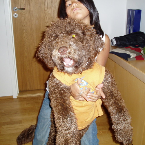 Phillip <3