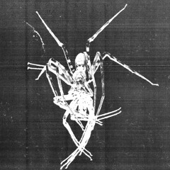 OB0435 — Mindseyerecords.xyz