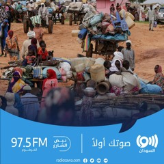 الأمم المتحدة تحذر: الحرب  والجوع يهددان بتدمير السودان