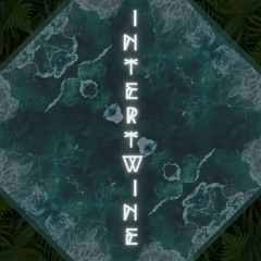 POLLIWOG - Intertwine